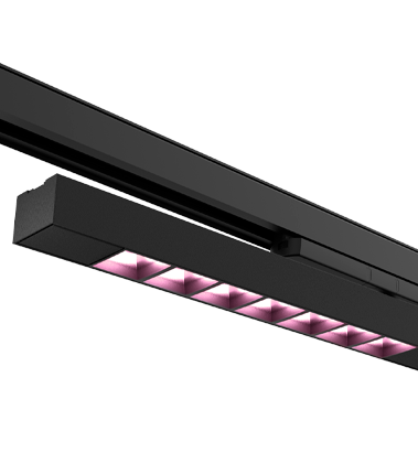 CLP LDM (Fresh Meat)