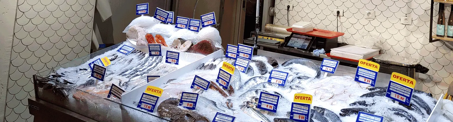 Slider 1 - Iluminação alimentar - Celux Iluminación