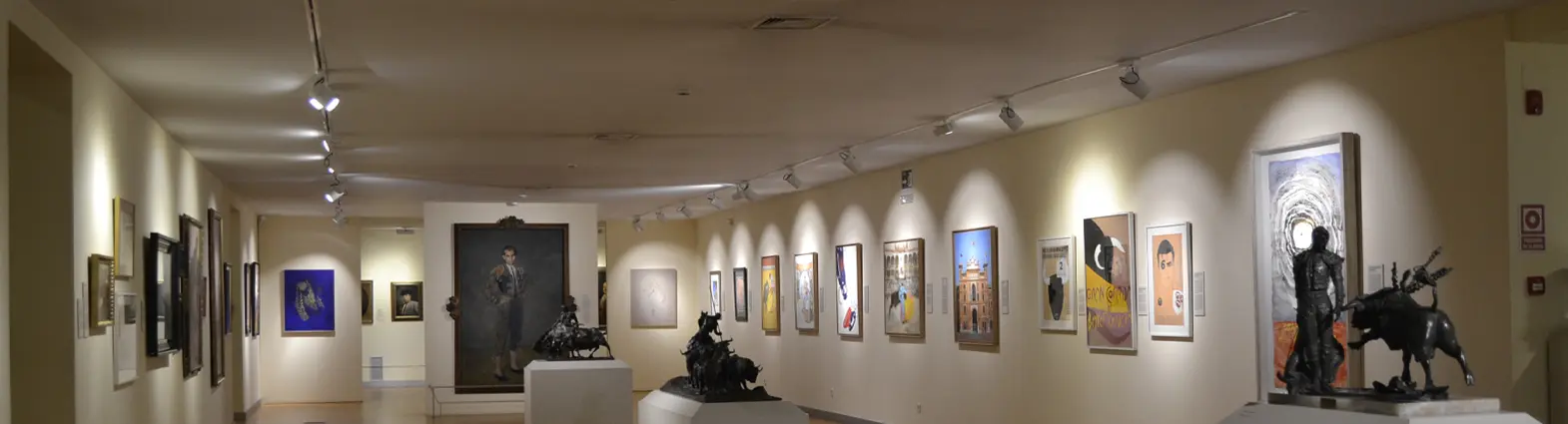 Slider 2 - Трекові прожектори - Celux Iluminación