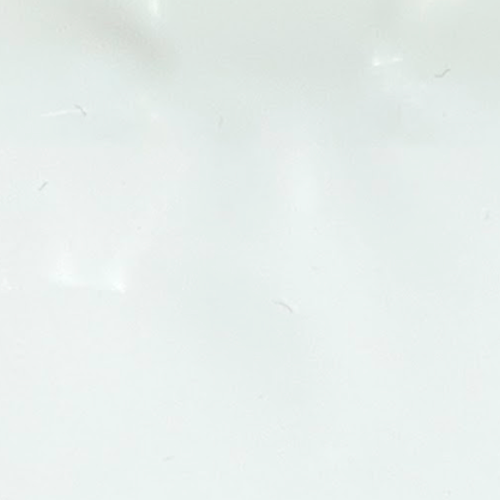 L 01