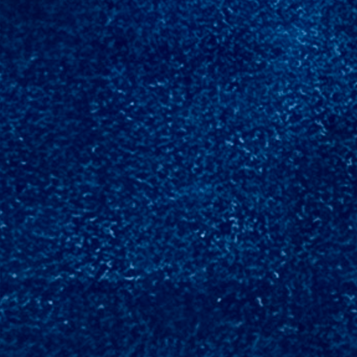 VE 206