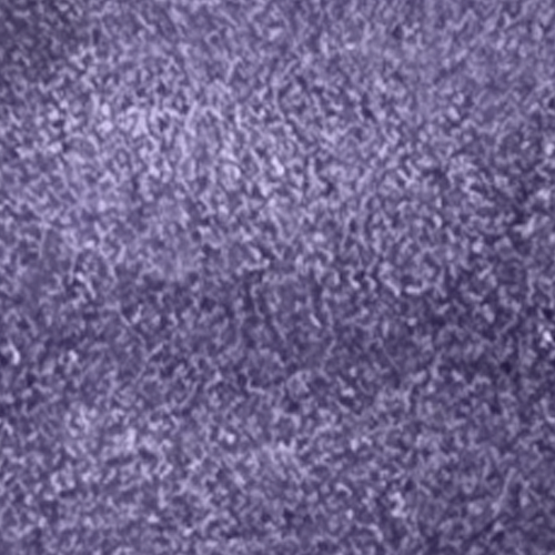 VE 209