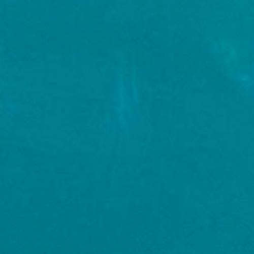 L 19