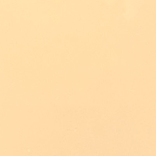 L 29