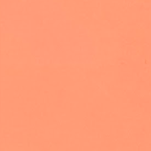 L 63