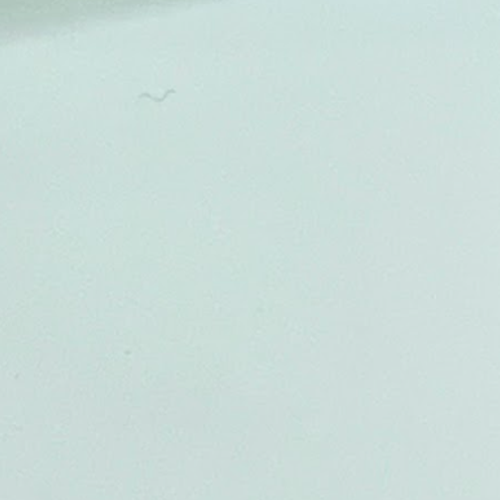 S 65